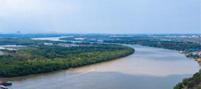 ที่ดิน 24000000 ฉะเชิงเทรา บ้านโพธิ์ บ้านโพธิ์