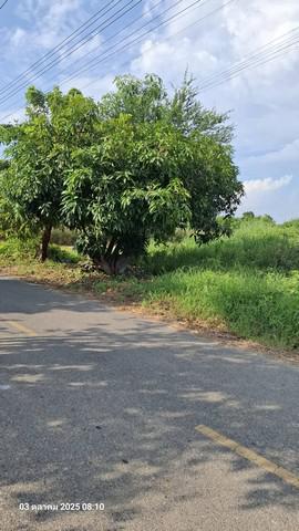 ที่ดิน 3000000 ฉะเชิงเทรา บ้านโพธิ์ บ้านโพธิ์