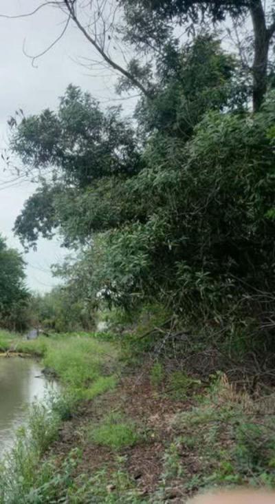 ที่ดิน 300000 พระนครศรีอยุธยา เสนา บ้านแถว