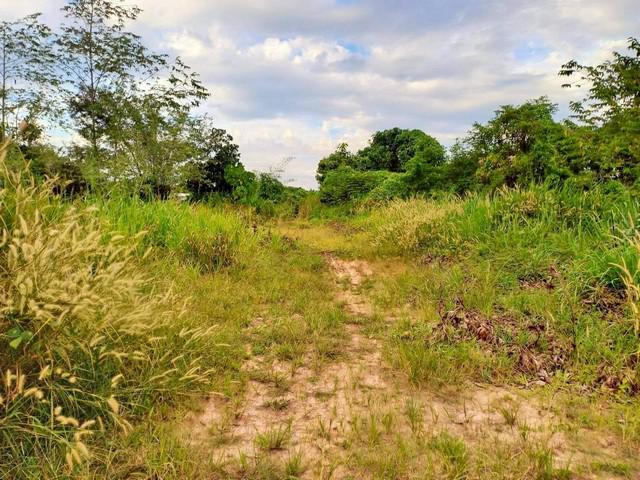 ที่ดิน 4500000 ระยอง เมืองระยอง แกลง