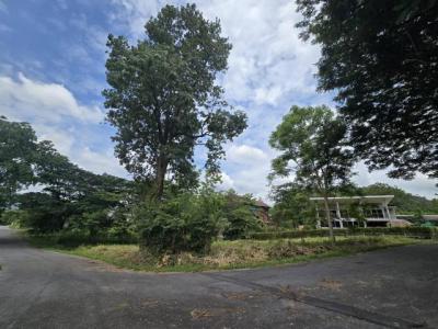 ที่ดิน 4348500 นครราชสีมา ปากช่อง พญาเย็น