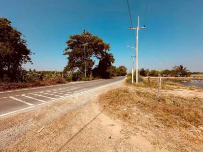 ที่ดิน 16175250 นครปฐม กำแพงแสน สระพัฒนา