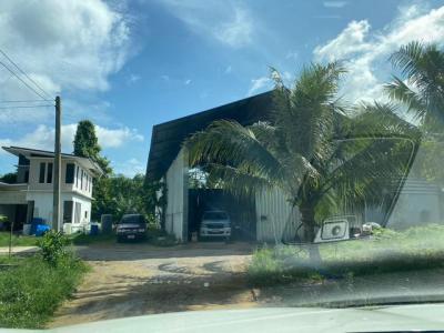 โกดัง 1952000 ชุมพร เมืองชุมพร หาดพันไกร