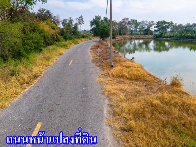ที่ดิน 45000000 ชลบุรี พานทอง บางนาง