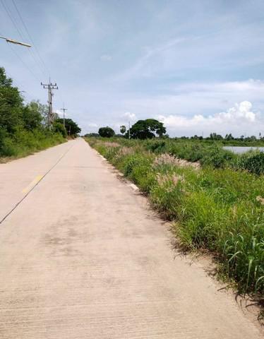 ที่ดิน 5850000 ชลบุรี พนัสนิคม ท่าข้าม