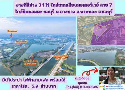 ที่ดิน 186292500 ชลบุรี พานทอง บางนาง
