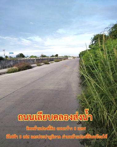 ที่ดิน 186292500 ชลบุรี พานทอง บางนาง