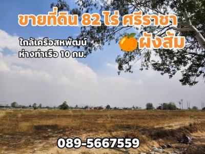 ที่ดิน 4500000 ชลบุรี ศรีราชา บึง