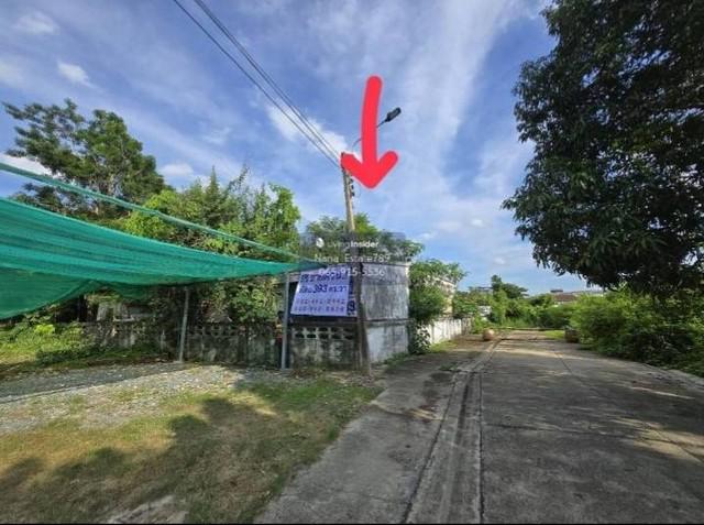 ที่ดิน 21500000 กรุงเทพมหานคร เขตหลักสี่ ตลาดบางเขน