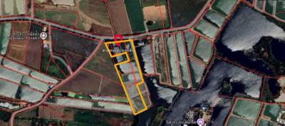 ที่ดิน 16175250 นครปฐม กำแพงแสน สระพัฒนา