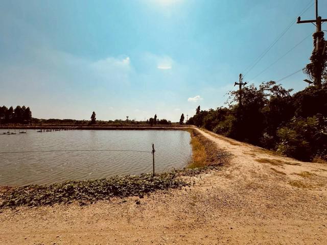 ที่ดิน 16175250 นครปฐม กำแพงแสน สระพัฒนา