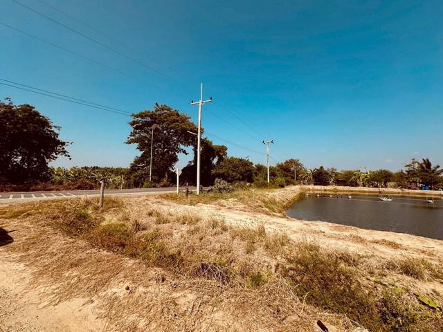 ที่ดิน 16175250 นครปฐม กำแพงแสน สระพัฒนา