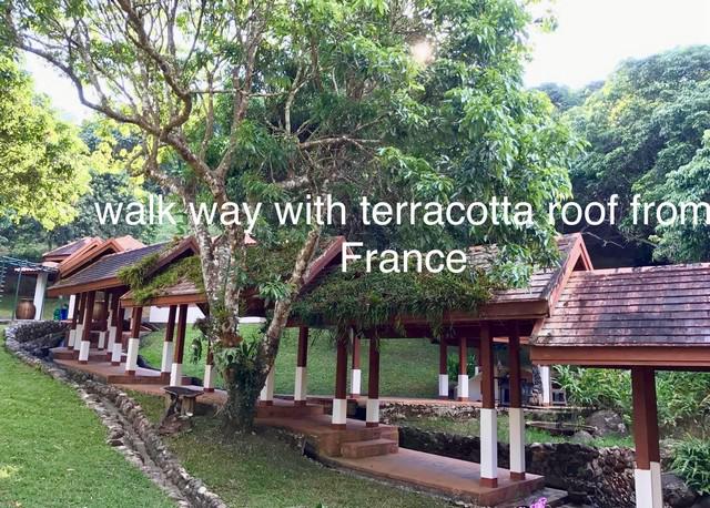 โรงแรม 20000000 เชียงใหม่ แม่แตง ขี้เหล็ก