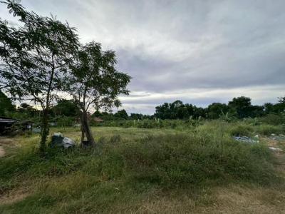 ที่ดิน 14000000 ชลบุรี บางละมุง บางละมุง