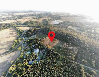 ที่ดิน 8500000 เชียงใหม่ สันทราย หนองแหย่ง