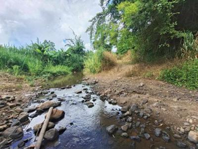 ที่ดิน 700000 เชียงใหม่ สะเมิง แม่สาบ