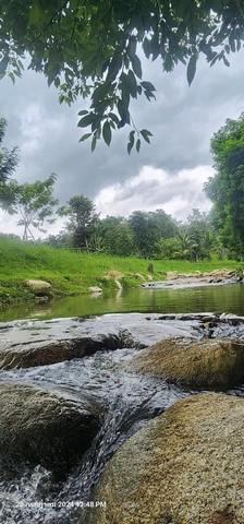 ที่ดิน 17600 เชียงใหม่ หางดง บ้านปง