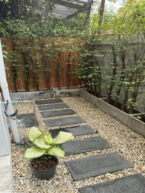 ทาวน์เฮาส์ 58000 กรุงเทพมหานคร เขตวัฒนา คลองตันเหนือ