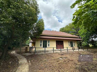 ที่ดิน 15200000 สุพรรณบุรี สองพี่น้อง ดอนมะนาว