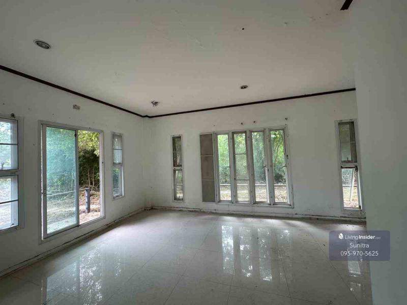 ที่ดิน 15200000 สุพรรณบุรี สองพี่น้อง ดอนมะนาว