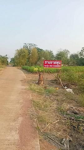 ที่ดิน 400000 กาญจนบุรี ด่านมะขามเตี้ย กลอนโด