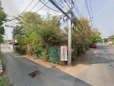 ที่ดิน -1 ลำพูน เมืองลำพูน เหมืองง่า