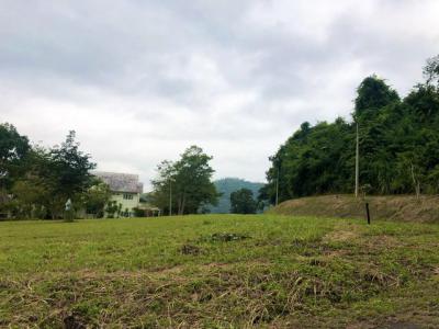 ที่ดิน 13630000 สระบุรี มวกเหล็ก มิตรภาพ