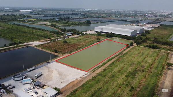 ที่ดิน 49204800 สมุทรปราการ บางพลี บางปลา