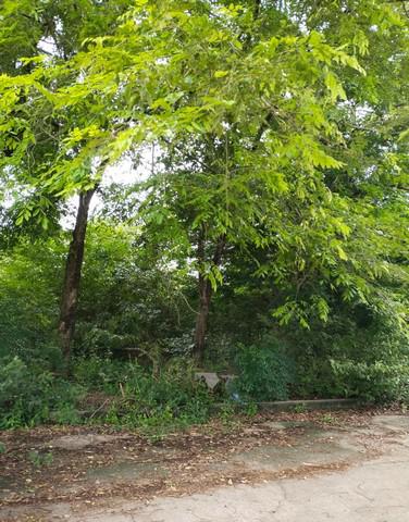 ที่ดิน 19137500 ฉะเชิงเทรา บางน้ำเปรี้ยว โพรงอากาศ