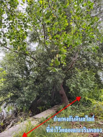 ที่ดิน 19627500 สมุทรสงคราม เมืองสมุทรสงคราม ลาดใหญ่