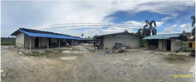 บ้านเดี่ยว 11820000 นครปฐม บางเลน ดอนตูม