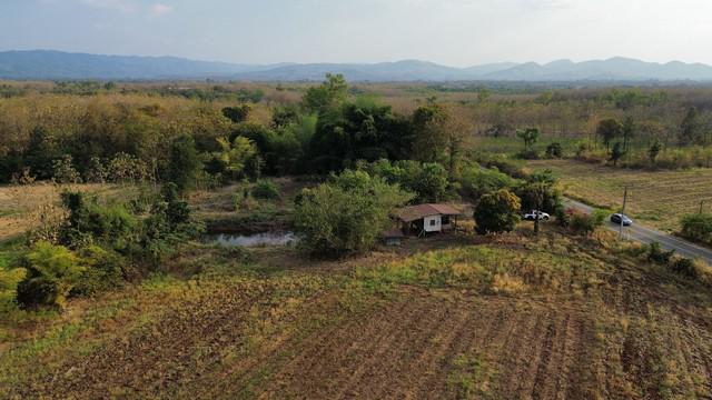 ที่ดิน 5000000 เพชรบูรณ์ เมืองเพชรบูรณ์ นาป่า
