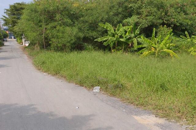 ที่ดิน 24000000 กรุงเทพมหานคร เขตบางเขน ท่าแร้ง