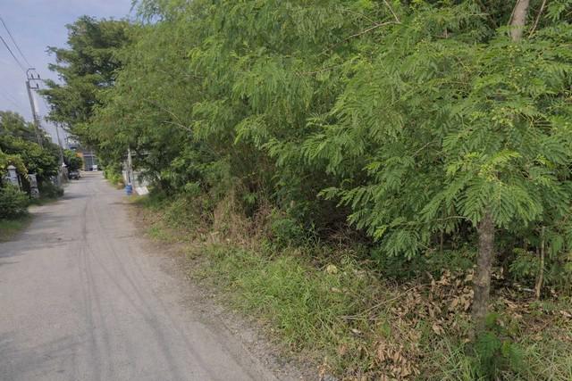 ที่ดิน 24000000 กรุงเทพมหานคร เขตบางเขน ท่าแร้ง