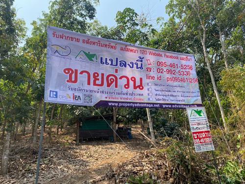 ที่ดิน 32400000 หนองคาย สังคม สังคม