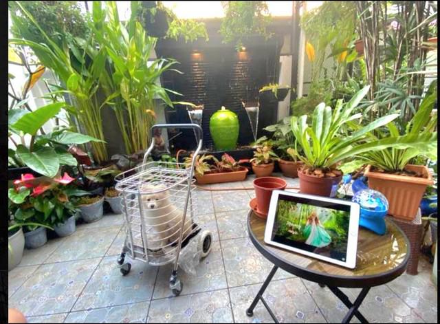 ทาวน์เฮาส์ 4900000 กรุงเทพมหานคร เขตบึงกุ่ม คลองกุ่ม