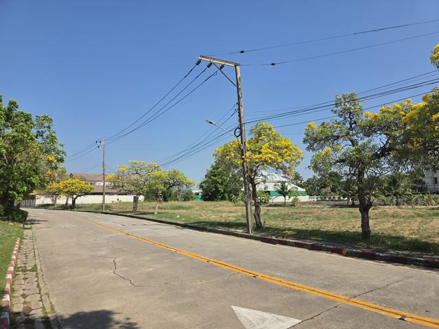 ที่ดิน 50000 สมุทรปราการ บางพลี บางพลีใหญ่