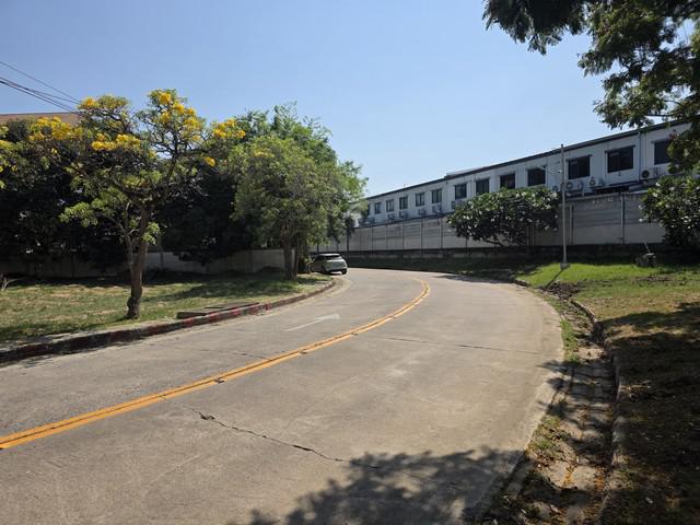 ที่ดิน 50000 สมุทรปราการ บางพลี บางพลีใหญ่