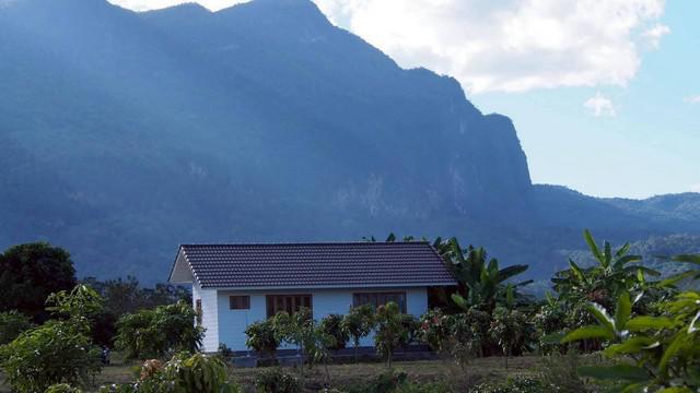 ที่ดิน 5600000 เชียงใหม่ เชียงดาว เมืองงาย