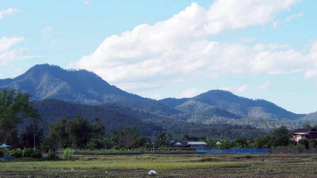 ที่ดิน 5600000 เชียงใหม่ เชียงดาว เมืองงาย