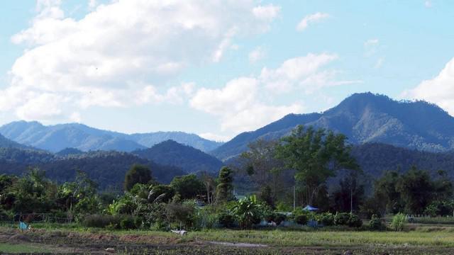 ที่ดิน 5600000 เชียงใหม่ เชียงดาว เมืองงาย