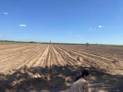 ที่ดิน 830000 ชัยภูมิ จัตุรัส กุดน้ำใส