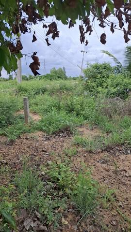 ที่ดิน 1000000 ชลบุรี พนัสนิคม ท่าข้าม