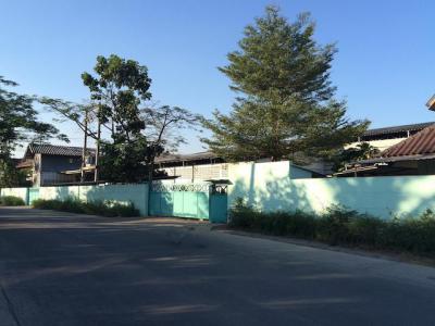 โกดัง 120000 นครปฐม สามพราน ไร่ขิง