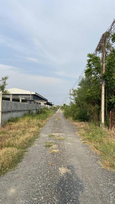 ที่ดิน 9000000 ปทุมธานี ลำลูกกา บึงทองหลาง