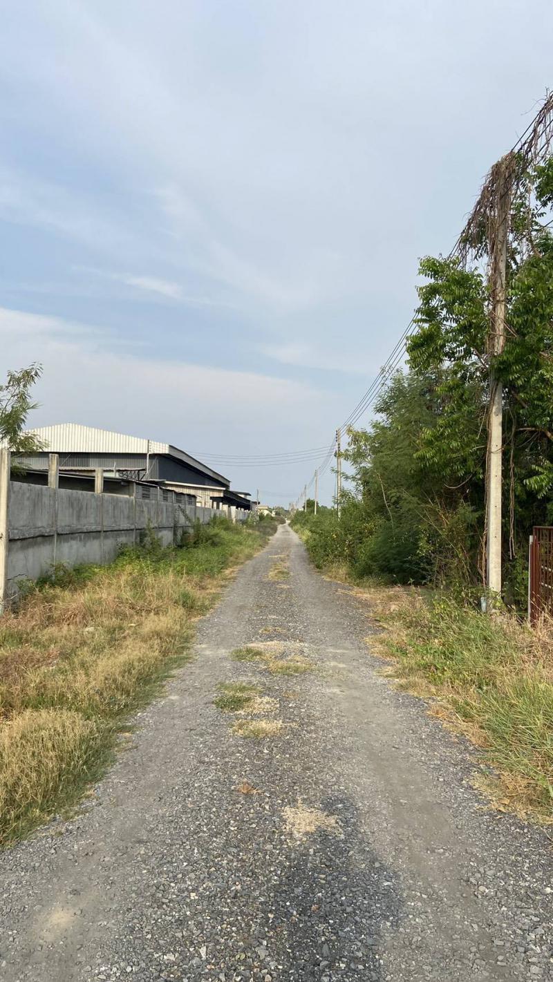 ที่ดิน 9000000 ปทุมธานี ลำลูกกา บึงทองหลาง