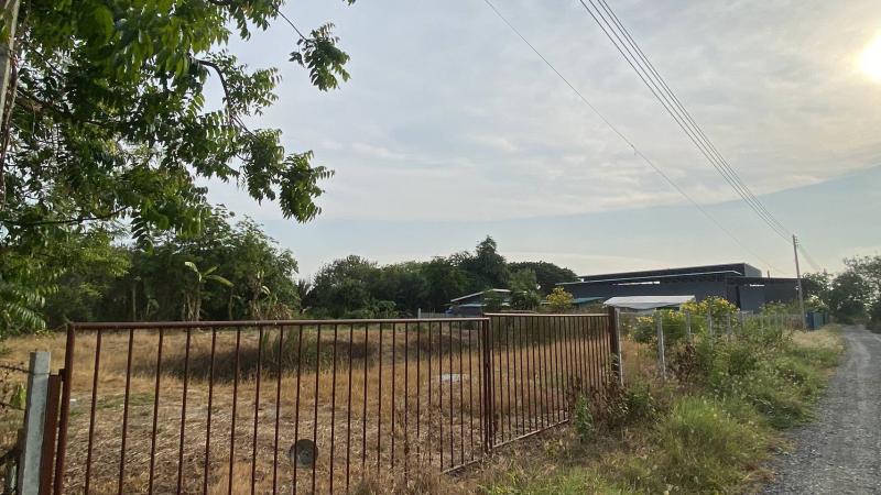 ที่ดิน 9000000 ปทุมธานี ลำลูกกา บึงทองหลาง