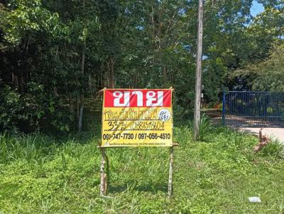 ที่ดิน 14850000 ประจวบคีรีขันธ์ บางสะพาน ชัยเกษม