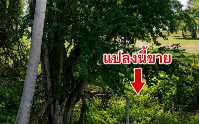 ที่ดิน 11325000 ประจวบคีรีขันธ์ เมืองประจวบคีรีขันธ์ บ่อนอก