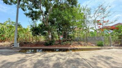 ที่ดิน 1790000 นนทบุรี บางบัวทอง บางรักพัฒนา